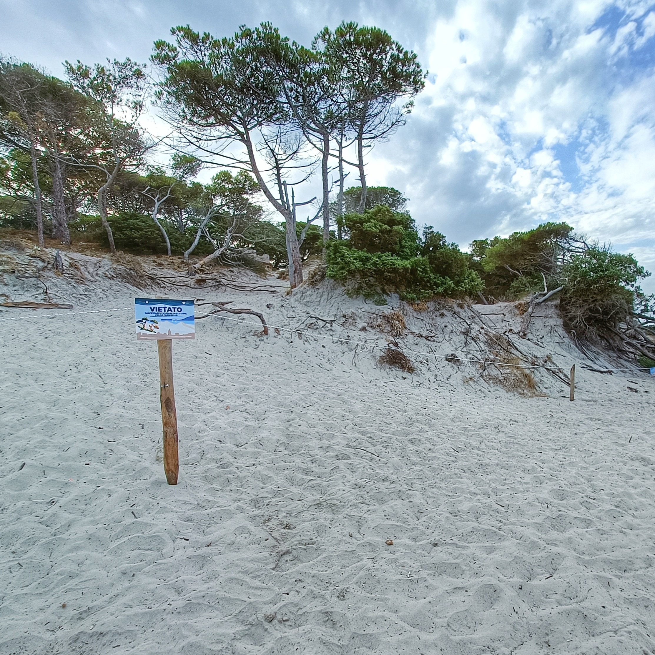 Perché le Compagnie Barracellari proteggono le dune?